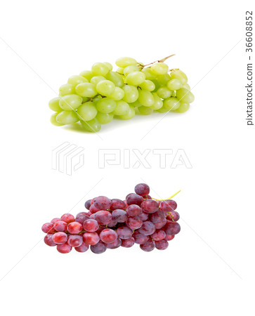 Blue and white wet grapes bunch isolated  36608852
