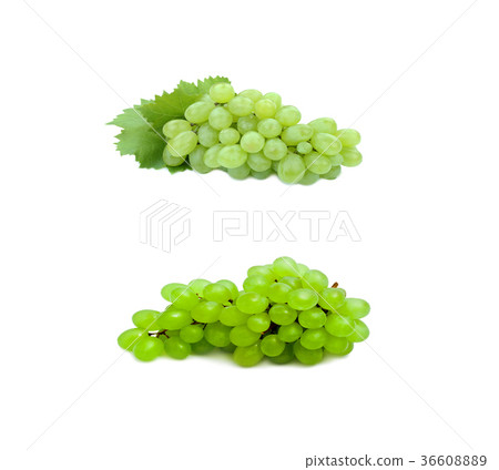 bunch of white grapes 36608889