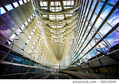 東京國際論壇 東京國際論壇 36610046