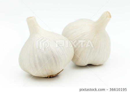 Garlic 36610195