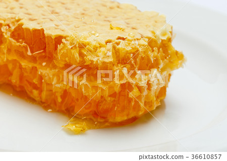 Honeycomb with honey on plate isolated white Honeycomb with honey on plate isolated white 36610857