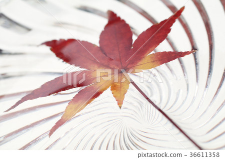 Autumn leaves floating in the bowl Autumn leaves floating in the bowl 36611358