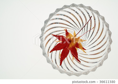 Autumn leaves floating in the bowl 36611380