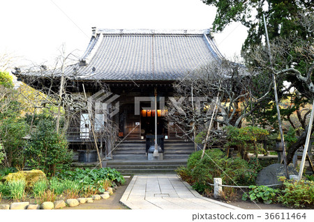 Shokakuji Temple (Kamakura) 36611464