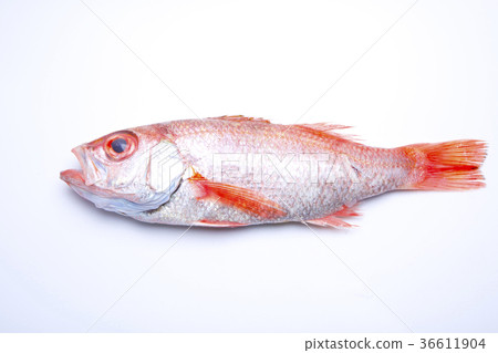 Nodoguro ingredients 36611904