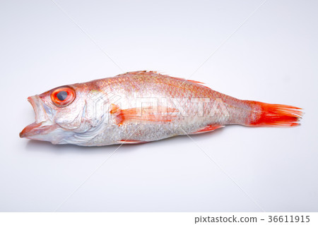 Nodoguro ingredients Nodoguro ingredients 36611915