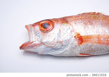 Nodoguro ingredients Nodoguro ingredients 36611916