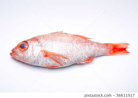 Nodoguro ingredients 36611917