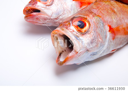 Nodoguro ingredients 36611930