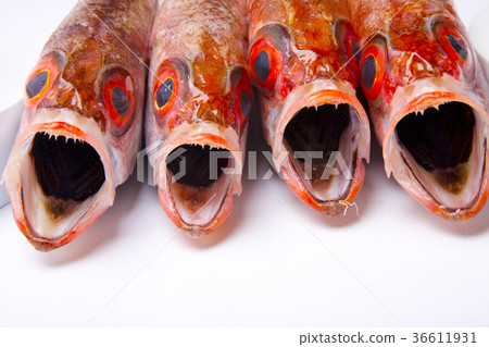 Nodoguro ingredients in the throat Nodoguro ingredients in the throat 36611931