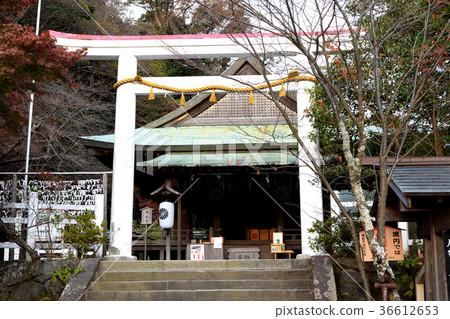 鎌倉宮 鎌倉宮 36612653