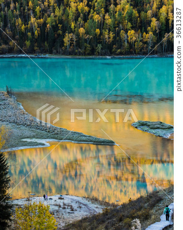 Reflection of river and autumn forest Reflection of river and autumn forest 36613287