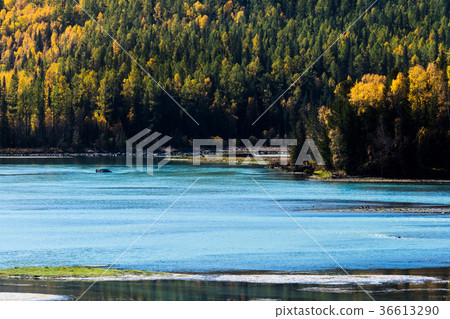 View of river at Immortal bay in Kanas lake View of river at Immortal bay in Kanas lake 36613290
