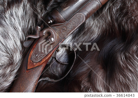 Old Hunting Shotgun Old Hunting Shotgun 36614843
