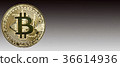 比特幣比特幣圖像 36614936