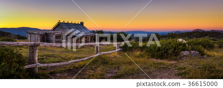 Sunset above Craigs Hut in the Victorian Alp Sunset above Craigs Hut in the Victorian Alp 36615000