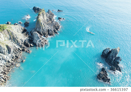 Powder bird forest, coast, landscape, aviation Powder bird forest, coast, landscape, aviation 36615397