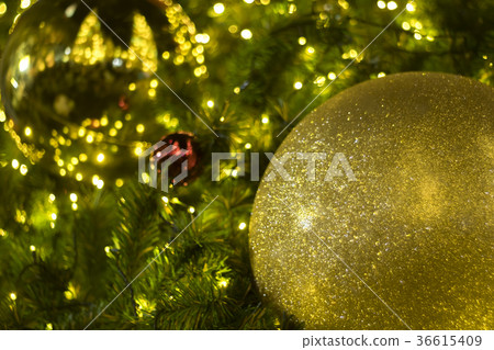 Christmas tree 36615409