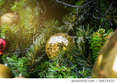Christmas Tree Christmas Tree 36615410