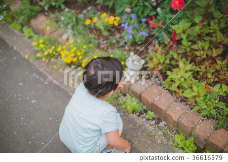 observe, younger, baby boy 36616579