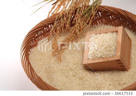 Rice. Shinnosuke Rice. Shinnosuke 36617533
