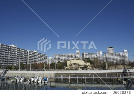 浦安市12月 36618278