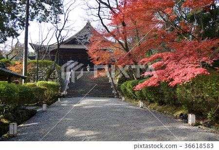 三井的聖殿大廳 36618583