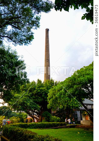 Yam, Huashan 36619473