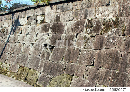 私立學校的子彈標記 36620971