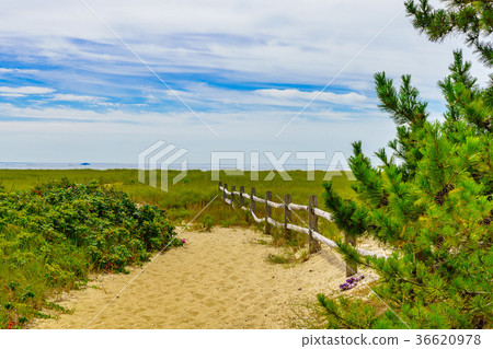 Empty pathway with fence to the beach on a clear Empty pathway with fence to the beach on a clear 36620978