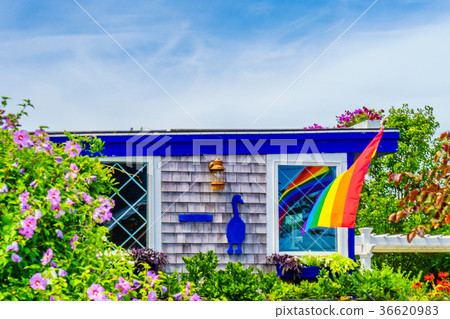 Cottages along the beach in Provincetown Cape Code 36620983