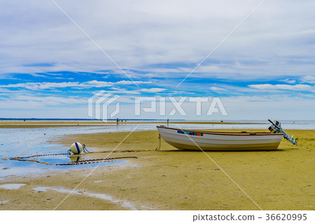 Boats in the Provincetown Coast at low tide MA Boats in the Provincetown Coast at low tide MA 36620995