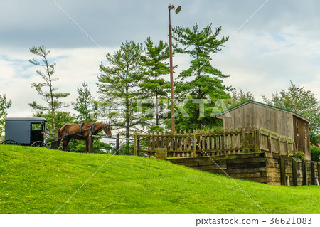 Amish country farm a place of rest in Lancaster 36621083
