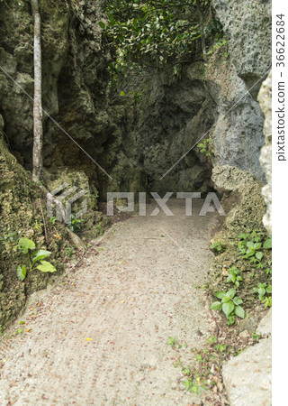 Sabichi Cave(石垣島) Sabichi Cave(石垣島) 36622684