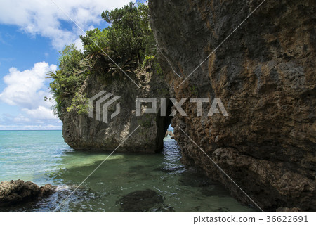 Sabichi Cave(石垣島) Sabichi Cave(石垣島) 36622691