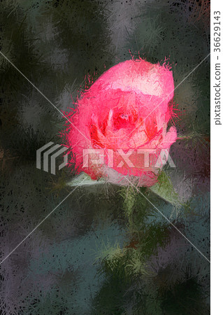 Jumilia Rose in dark background, in Painting Jumilia Rose in dark background, in Painting 36629143