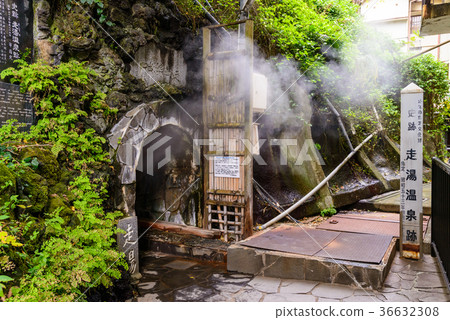 Hot water [Atami City] 36632308