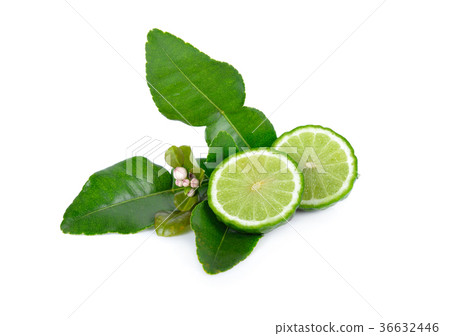 half cut fresh bergamot with leaf on white 36632446