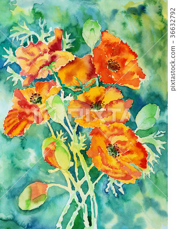 水彩鴉片明亮的橙色杜鬆手拉的花 水彩鴉片明亮的橙色杜鬆手拉的花 36632792