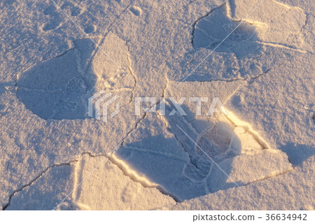 snow lying in snowdrifts 36634942