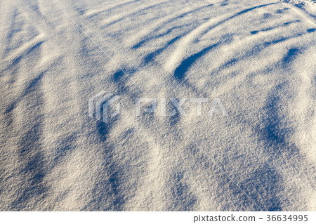 snow-covered soil 36634995