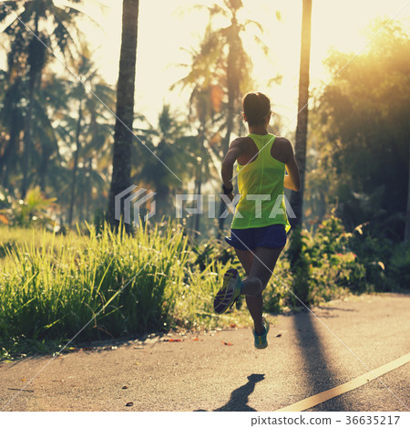 fitness woman runner running on morning  36635217