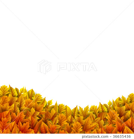 Autumn leaves isolated on white background 36635436