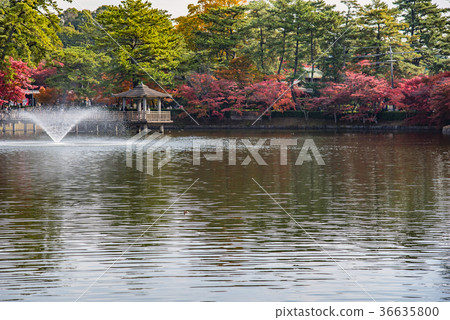愛知岡崎東公園Ashinobe池塘和Huiomidou噴泉的秋葉 36635800