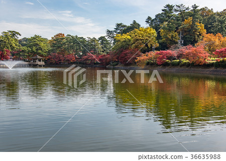 Autumn leaves of Aichi Okazaki Higashi Park Ashinobe pond and Huiomidou fountain Autumn leaves of Aichi Okazaki Higashi Park Ashinobe pond and Huiomidou fountain 36635988