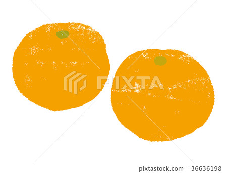 Mikan watercolor painting 36636198