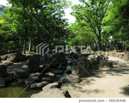 Ohyoko River water park (flower autumn leaves zone) where fresh green is beautiful 36636406