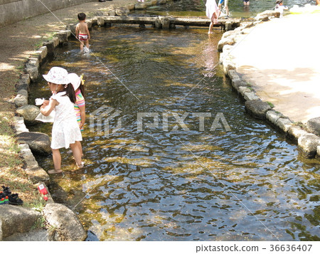 Shabu-jabu waterway of the Yokokawa River Park Shabu-jabu waterway of the Yokokawa River Park 36636407