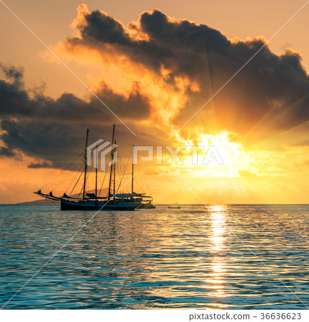 Recreational Yacht at the Indian Ocean 36636623