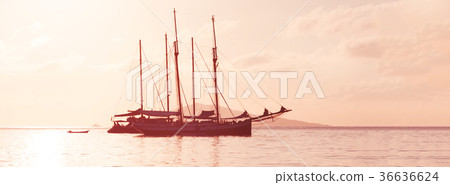 Recreational Yacht at the Indian Ocean 36636624